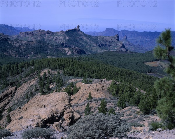 SPAIN, Canary Island, Gran Canaria , Calder de Bandama Crater