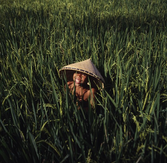INDONESIA, Lombok, Kediri, Smiing boy wearing a conical hat in a ricefield near Makaram