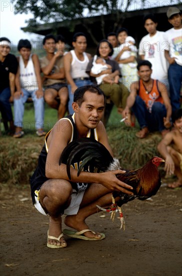 PHILIPPINES, Cock Fighting,