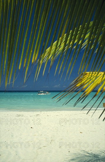 WEST INDIES, Jamaica, Negril, Beach and waters edge through coconut palm tree with tourist boat going past