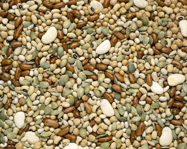 FOOD, Beans and Pulses, Mixed dried beans.