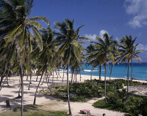 BARBADOS, St Philip, "Sam Lords Castle Hotel beach, palms in sand,  gardens with wall "