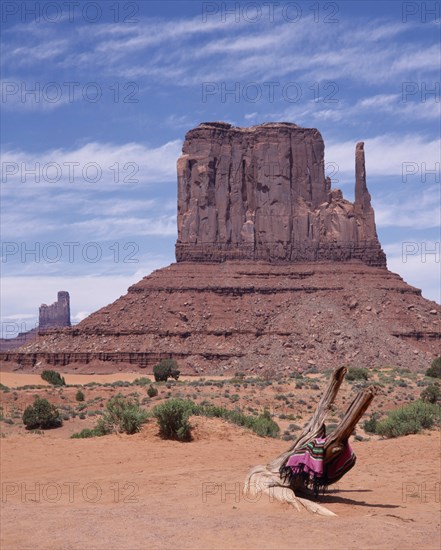 USA, Arizona, Monument Valley, Mittens desert rock formation. Large isolated block with scree slopes scrub and dead tree trunk with Navajo Indian blanket