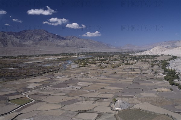 INDIA, Ladakh, Indus Valley, "General view over the valley with divided land, scattered trees and river"