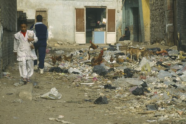 EGYPT, Cairo, School children walking past rubbish dump with chickens and dogs scavenging in the City of the Dead