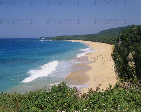 DOMINICAN REPUBLIC, Rio San Juan, Playa Grande, View of sandy beach backed with palm trees and clear sea with blue sky and rocky coastline in distance.