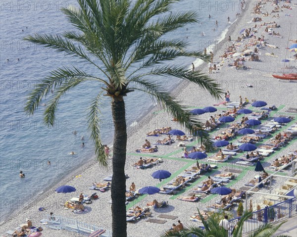 FRANCE, Provence Cote d’Azur, Alpes Maritime, "Nice Beach from above with a palm tree, sunbathers under blue umbrellas on a shingle beach "