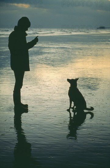DOMESTIC ANIMALS, Dogs, With Owners, Man encouraging attentive dog to sit silhouetted on beach at low tide.