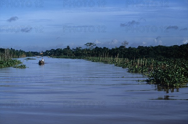 VIETNAM, South, Mekong Delta, Near Vinh Long - small boats travel on river between mangroves