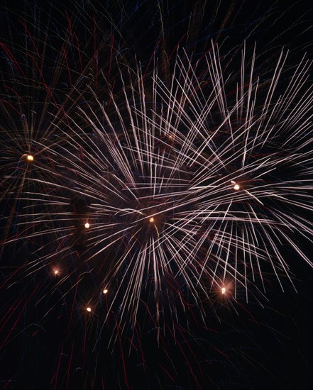 JAPAN, Fireworks, Hanabi Flowers of Fire fireworks designed to look like flowers