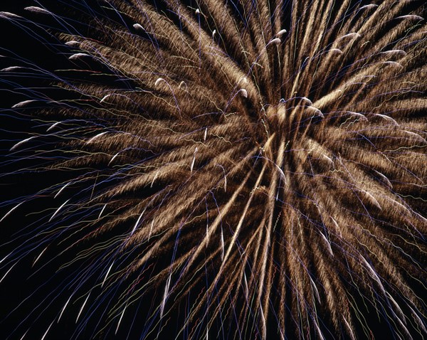 JAPAN, Fireworks, Hanabi Flowers of Fire fireworks designed to look like flowers