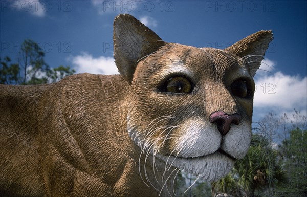 USA, Florida, Everglades, Close up of a model panther.