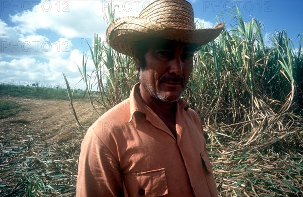 CUBA, Pinar Del Rio, Sugar worker wearing a straw hat standing in front of crops