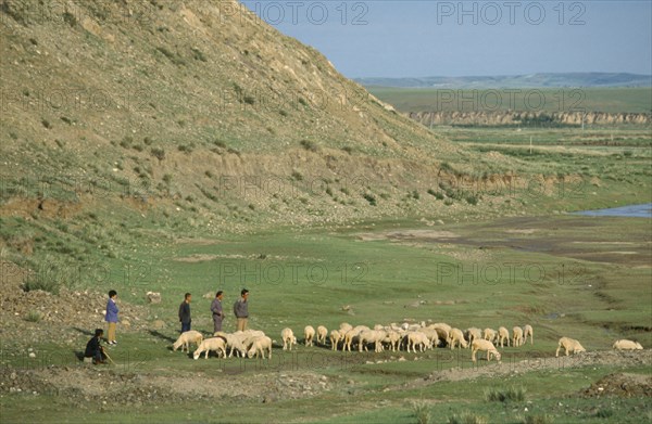 MONGOLIA, Agriculture, Shepherds and flock in grasslands