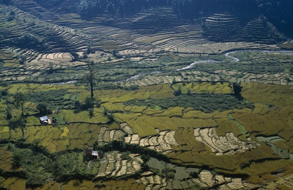 NEPAL, Agriculture, Rice, Landscape of rice terraces near Pokhara.