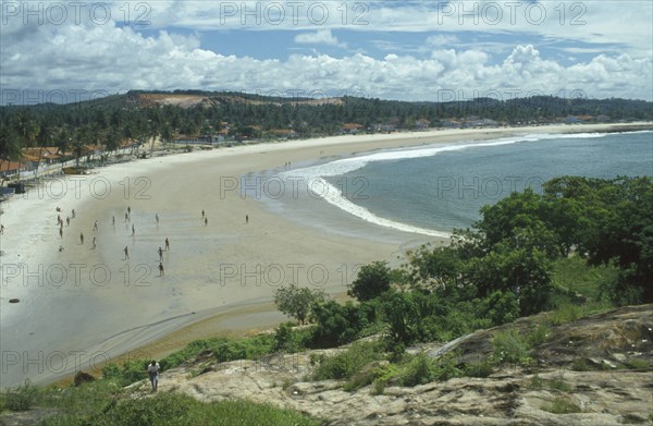 BRAZIL, Pernambuco, Near Recife, Gaitu beach cove lined with palms