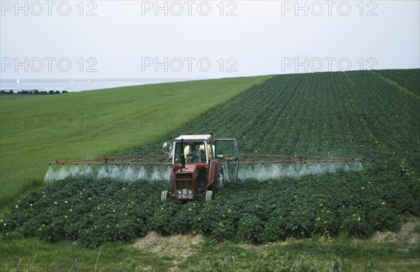 IRELAND, Arable, Farming, Spraying potato crop with pesticide