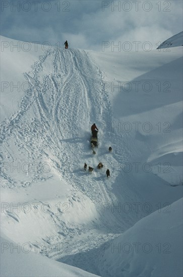 GREENLAND, Angmagssalik Island, Dog sledging down frozen waterfall