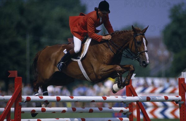 10127614 SPORT   Equestrian  Show Jumping Male Show Jumper