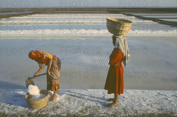 INDIA, Gujarat, Diu, Women working on salt pan gathering salt crystals into baskets carried on their heads.
