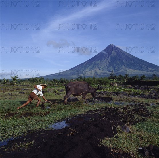 PHILIPPINES, Luzon Island, Legaspi, Man ploughing with bullock with the peak of the Mayon volcano behind.
