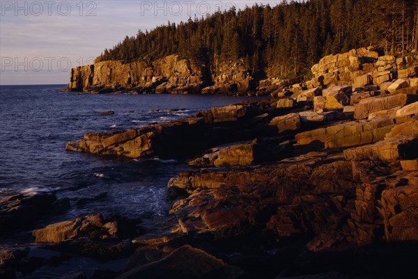 USA, Maine, Arcadia , National Park. Golden light shining on Otter Cliffs along rugged coastline lined with fir trees.
