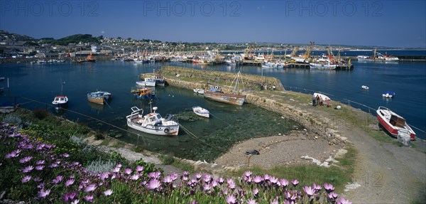ENGLAND, Cornwall, Newlyn, View over purple flowers towards fishing boats in the harbour with clear blue sea and sky.