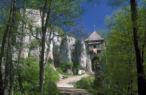 POLAND, Near Krakow , Ojcow National Park, The Castle and stone gateway seen through trees