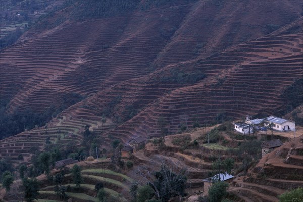 NEPAL, Nagarkot, Terraced hillside with buildings on lower slopes.