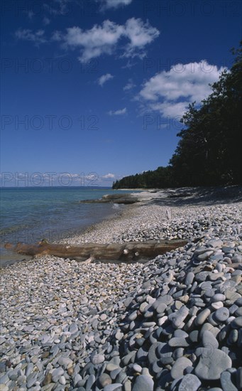 USA, Michigan, Lake Michigan, "View along shoreline with pebble beach, driftwood and breakwaters, lined by trees"