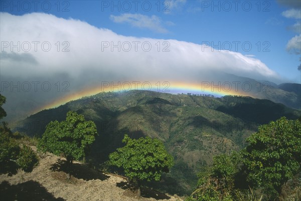WEST INDIES, Jamaica, Blue Mountains, Rainbow and bank of cloud over coffee plantation trees