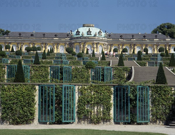GERMANY, Potsdam, Sanssouci, The parterre with vines climbing the rows of fences and steps leading up to the entrance