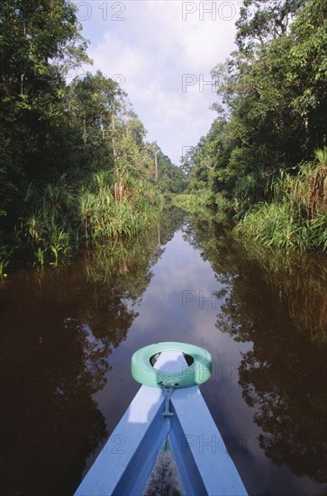 INDONESIA, Borneo, View down a small jungle river with the bow of the boat in the foreground