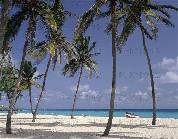 WEST INDIES, Barbados, Saint Philip, Sam Lords Castle Hotel beach with coconut palm trees and a small boat by the waters edge