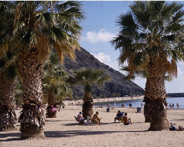 SPAIN, Canary Islands, Tenerife, Las Teresitas. Sunbathers sit among large palms on long sandy beach with dark cliffs beyond