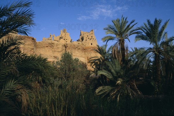 EGYPT, Western Desert, Siwa Oasis, Temple Of The Oracle on hilltop above date palm filled oasis