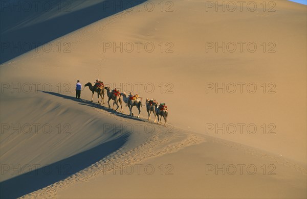 CHINA, Gansu, Dunhuang, Silk Route. View looking down to man leading camels along ridge of sand dune