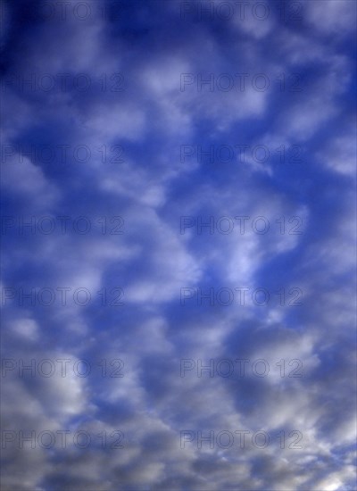 WEATHER, Clouds, High broken clouds at dusk