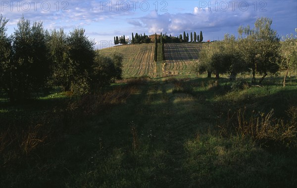 ITALY, Tuscany, Landscape , Rural landscape with an avenue of cypress trees leading to hill top building.