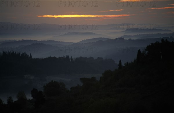 ITALY, Tuscany, San Gimignano, Sunrise through mist over wooded hillside.