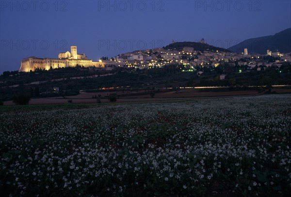 ITALY, Umbria, Assisi, Evening view across field of white flowers towards lights of Assisi.