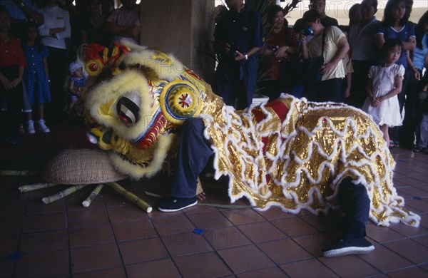 MALAYSIA, Kedah, Langkawi, Chinese New Year Dragon Dance with tourists watching the Dragon examining the food offering to it