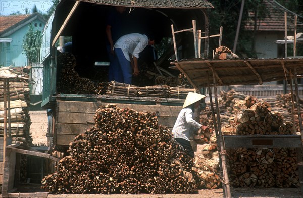 VIETNAM, Dong Ha, Firewood seller unloading bundles of firewood from a truck.