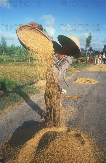 VIETNAM, Tam Ky, Woman winnowing rice on a roadway.