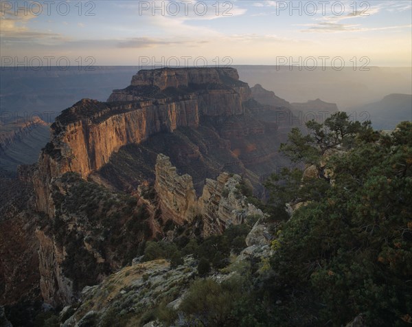 USA, Arizona, Grand Canyon , "View over sandstone and limestone rock formation in the Grand Canyon, trees growing on rocky cliff face in the foreground."