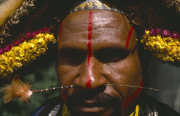 PAPUA NEW GUINEA, People, Men, Melpaz speaking Huli tribesman in body paint and head dress.  Portrait.