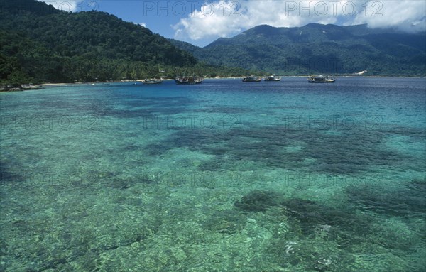 MALAYSIA, East Coast, Pulau Tioman Island, Panuba Bay. View over clear water and coral garden towards forest covered island.