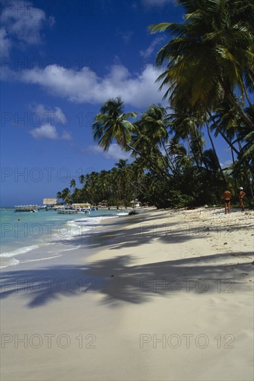 WEST INDIES, Tobago, Pigeon Point, View along the coconut palm tree lined beach towards the jetty