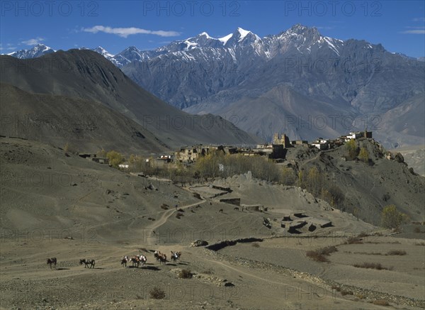 NEPAL, Annapurna Region, Jharkot, View over high altitude desert towards ruined fort and town near Muktinath.