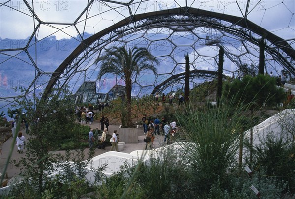 ENGLAND, Cornwall, St. Austell, Eden Project.  Warm Temperate Biome interior with visitors walking on path amongst plants with geodesic domed roof overhead.
